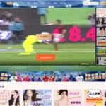 世界杯直播源码；体育赛事比分购买源码/原生双端PC+h5+移动端/运营完整版